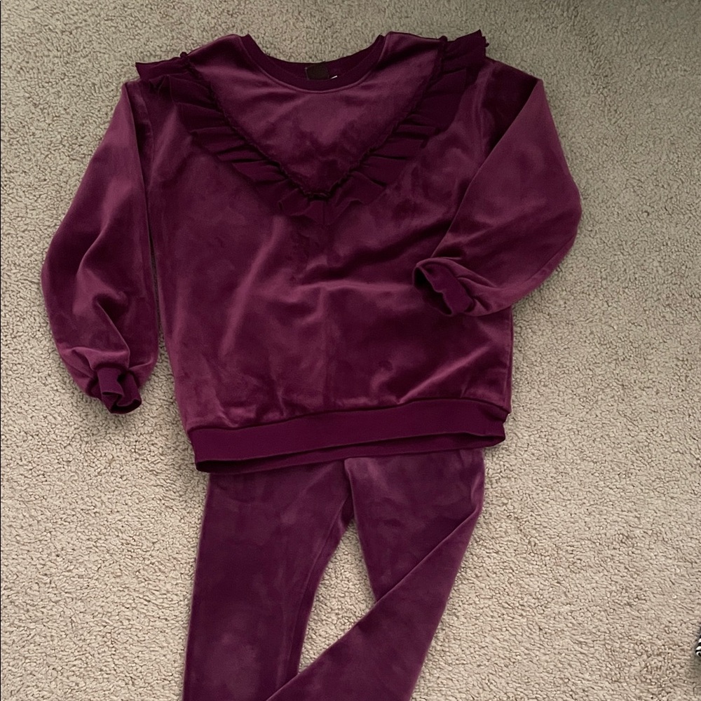 Tea Collection Velvet Plum Girls Sweatshirt and Leggings Set